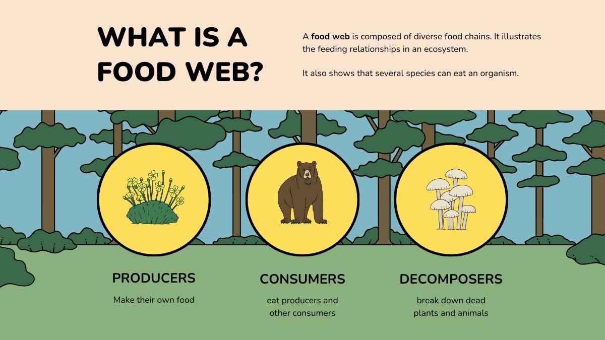 Food Webs Lesson for Elementary - slide 7