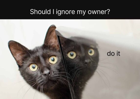 Cat Meme. Free PPT & Google Slides Template — SlidesCarnival