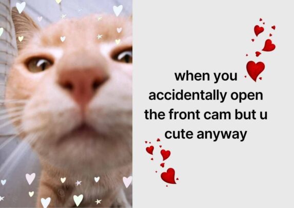 Cat Meme. Free PPT & Google Slides Template — SlidesCarnival