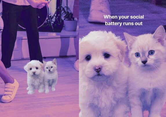 Cat Meme. Free PPT & Google Slides Template — SlidesCarnival
