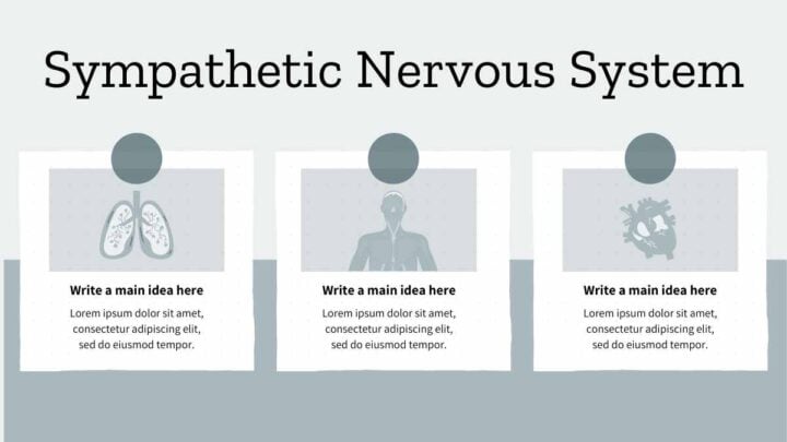 Nervous System Lesson Slides. Free PPT & Google Slides Template ...