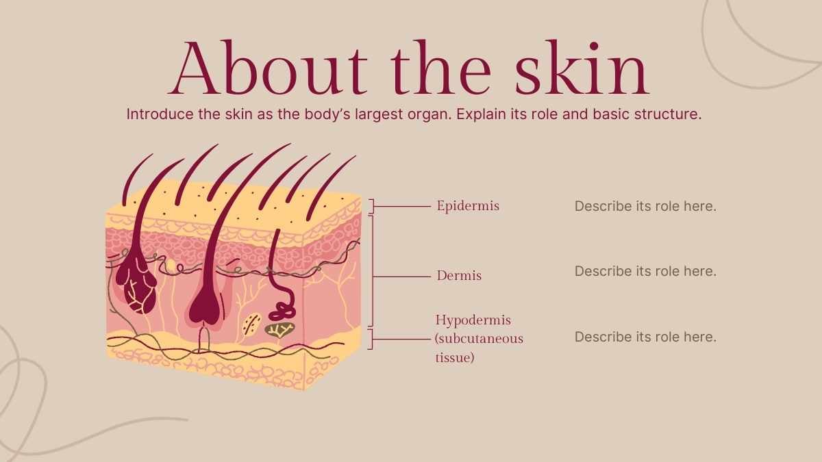 Geometric Skin Cancer Slides - slide 5