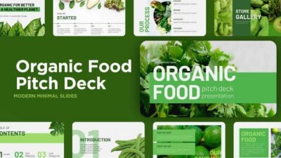 Modern Organic Food Pitch Deck