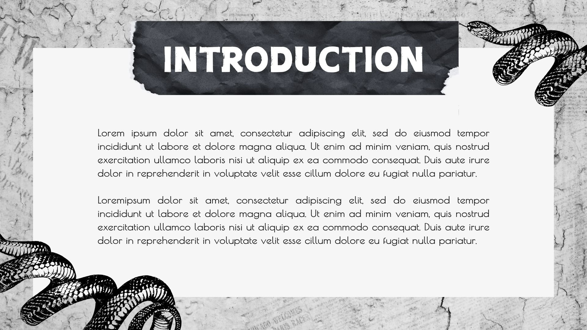 Grunge Gothic Aesthetic Presentation - slide 3