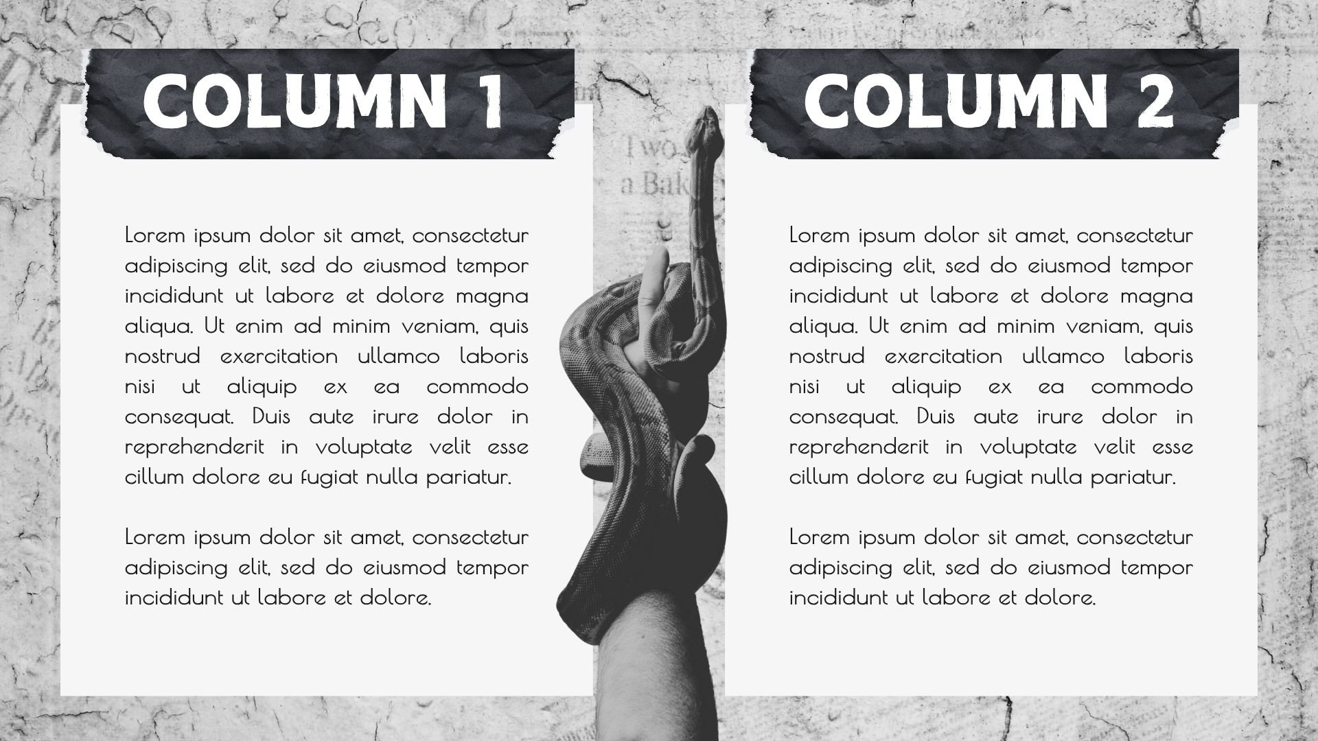 Grunge Gothic Aesthetic Presentation - slide 6