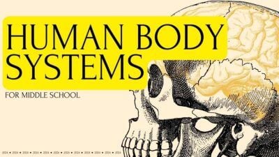 中学校向けの人体のシステムのレッスン