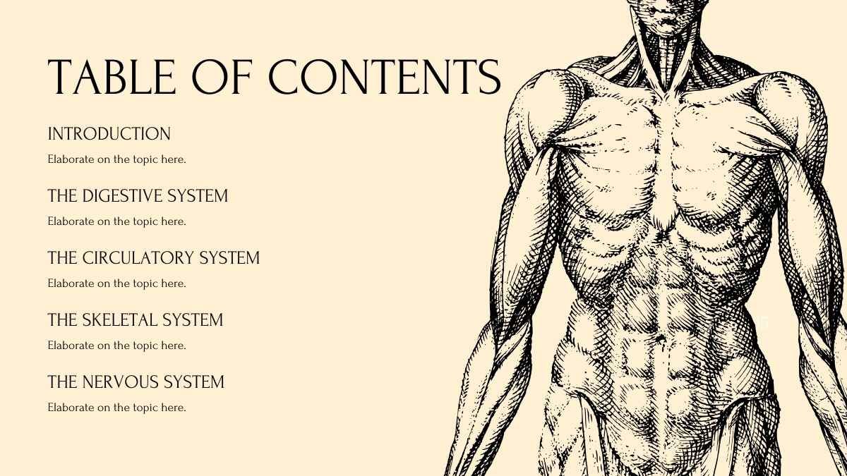 中学校向けの人体のシステムのレッスン - slide 2