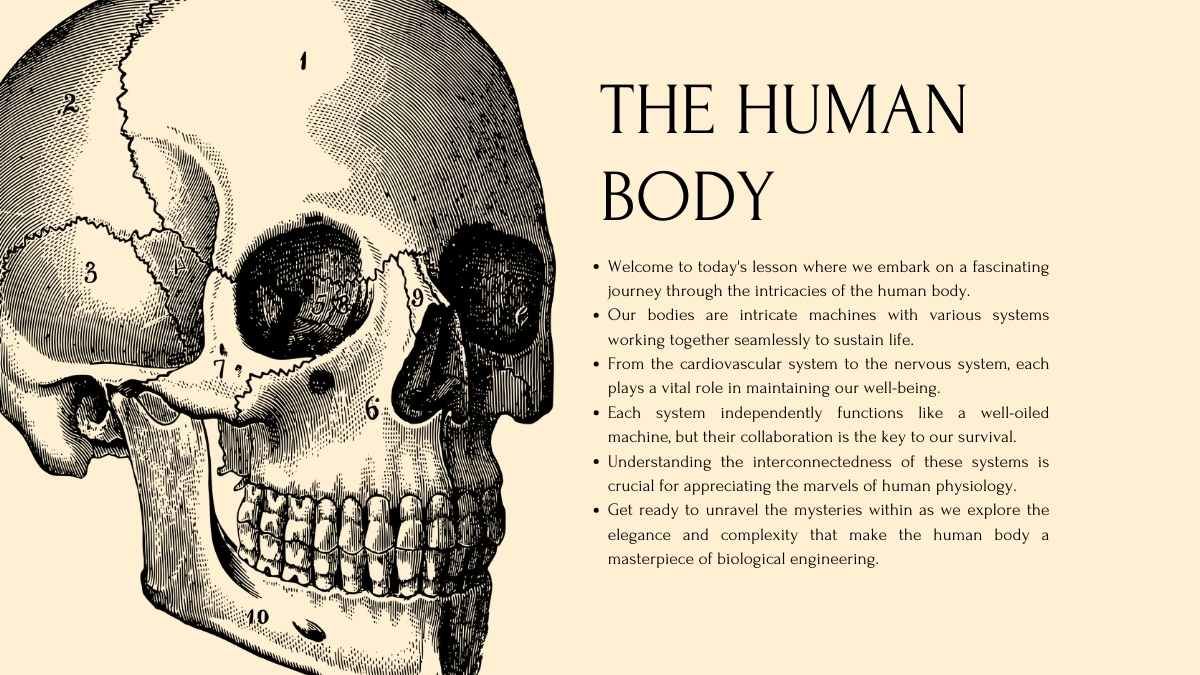 Lição sobre os sistemas do corpo humano para o ensino médio - slide 4
