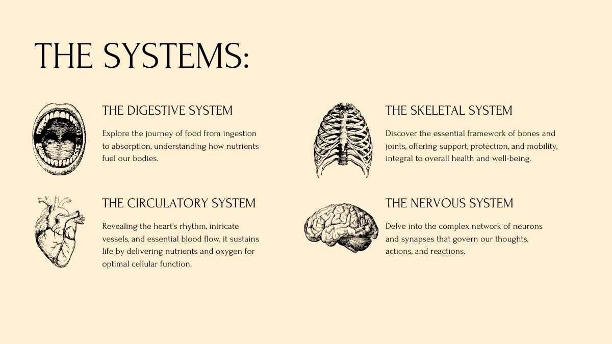 Lección sobre los sistemas del cuerpo humano para Secundaria - diapositiva 5