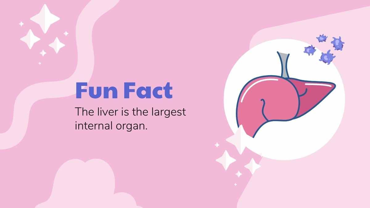 Aula de anatomia ilustrada sobre órgãos humanos - slide 11