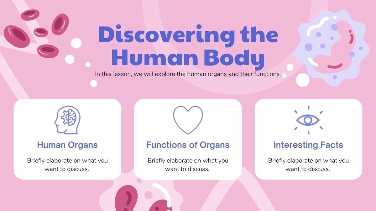 イラスト入りの解剖学の人体器官のレッスン - slide 4