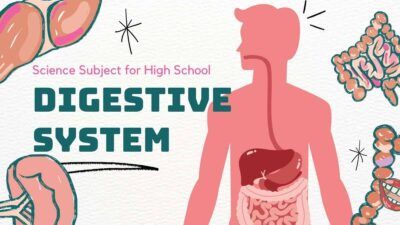 Illustrated Biology Digestive System