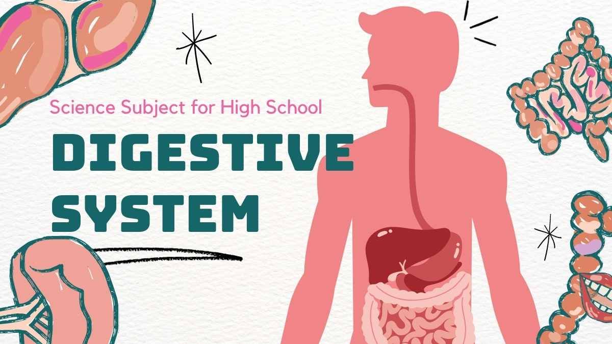 Illustrated Biology Digestive System - slide 0