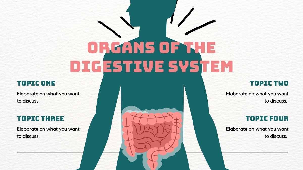 Illustrated Biology Digestive System - slide 6
