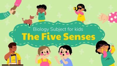 Illustrated Biology Five Senses