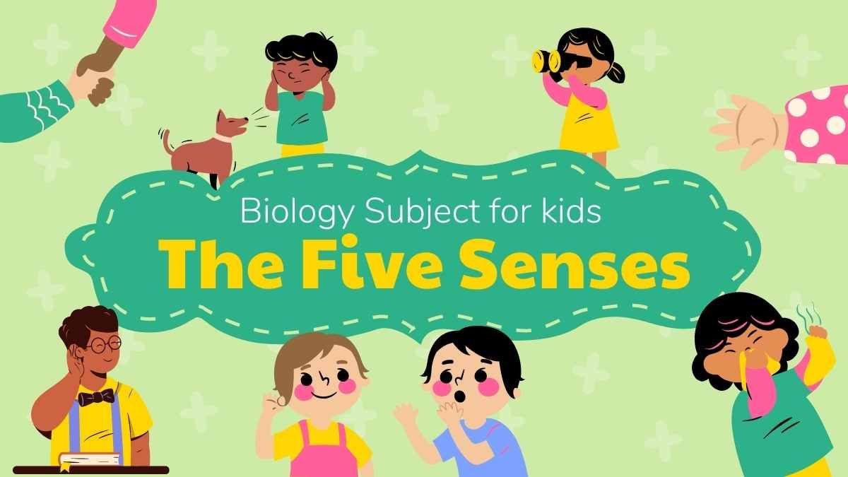Biologia ilustrada Cinco sentidos - slide 0