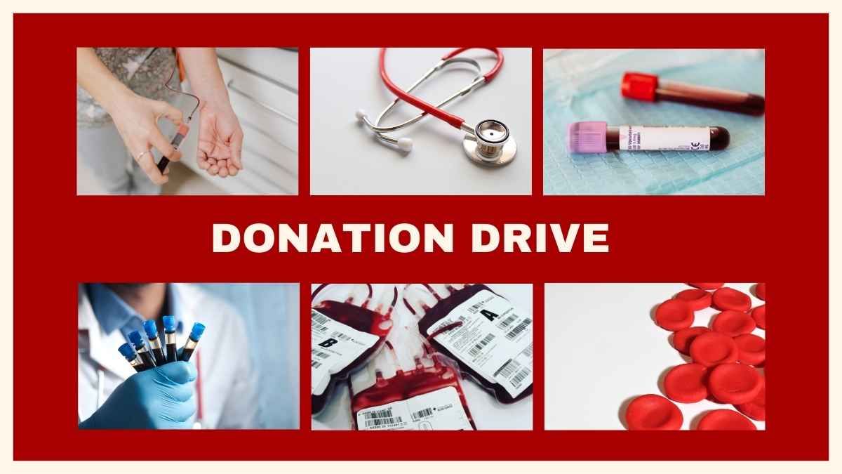 Illustrated Blood Donation Newsletter - slide 7