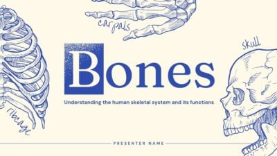 Illustrated Bones Slides 1