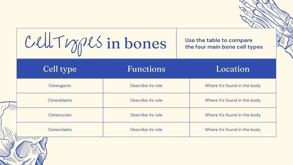 Illustrated Bones Slides - slide 10