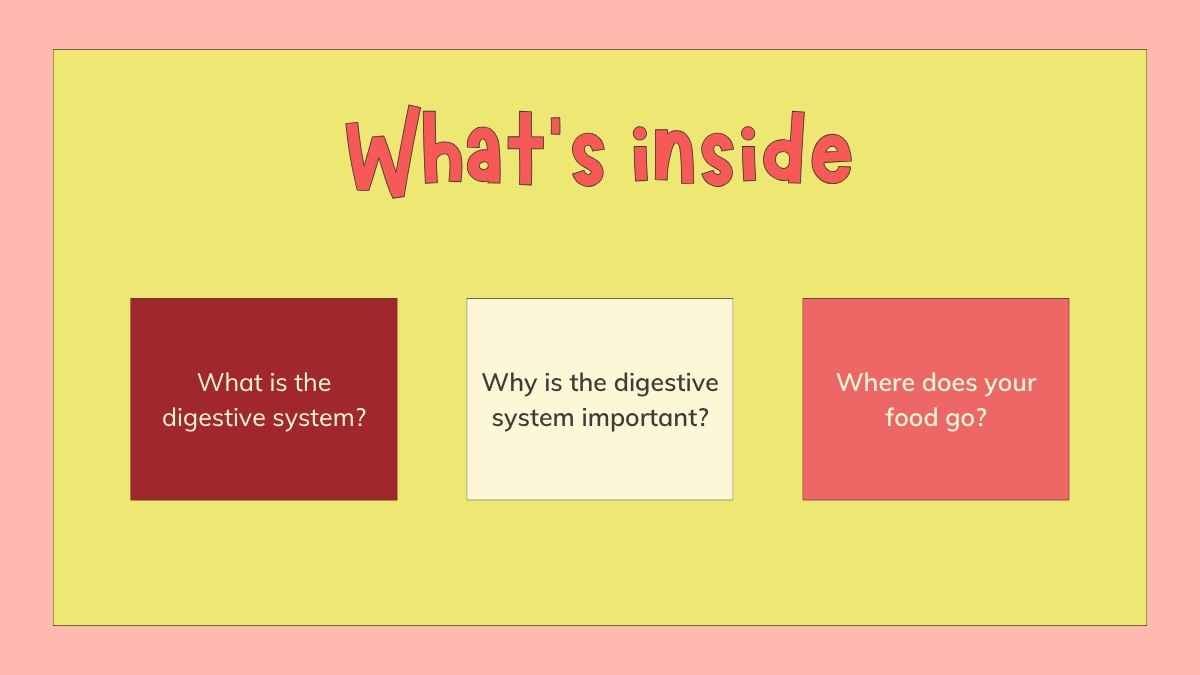 Illustrated Digestive System Slides for Grade 4 - slide 2
