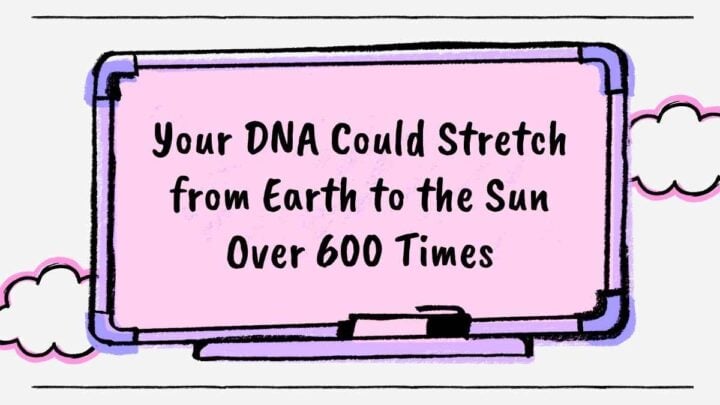 Heredity Genetics. Free PPT & Google Slides Template — SlidesCarnival