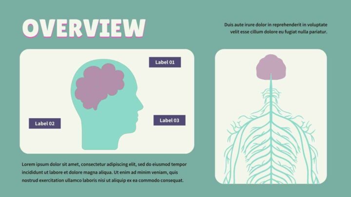 Introduction to the Nervous System. Free PPT & Google Slides Template ...