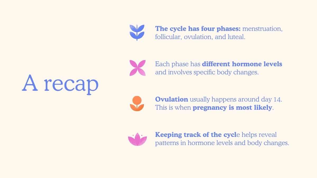 Illustrated Menstrual Cycle Slides For Grade 10 - slide 12