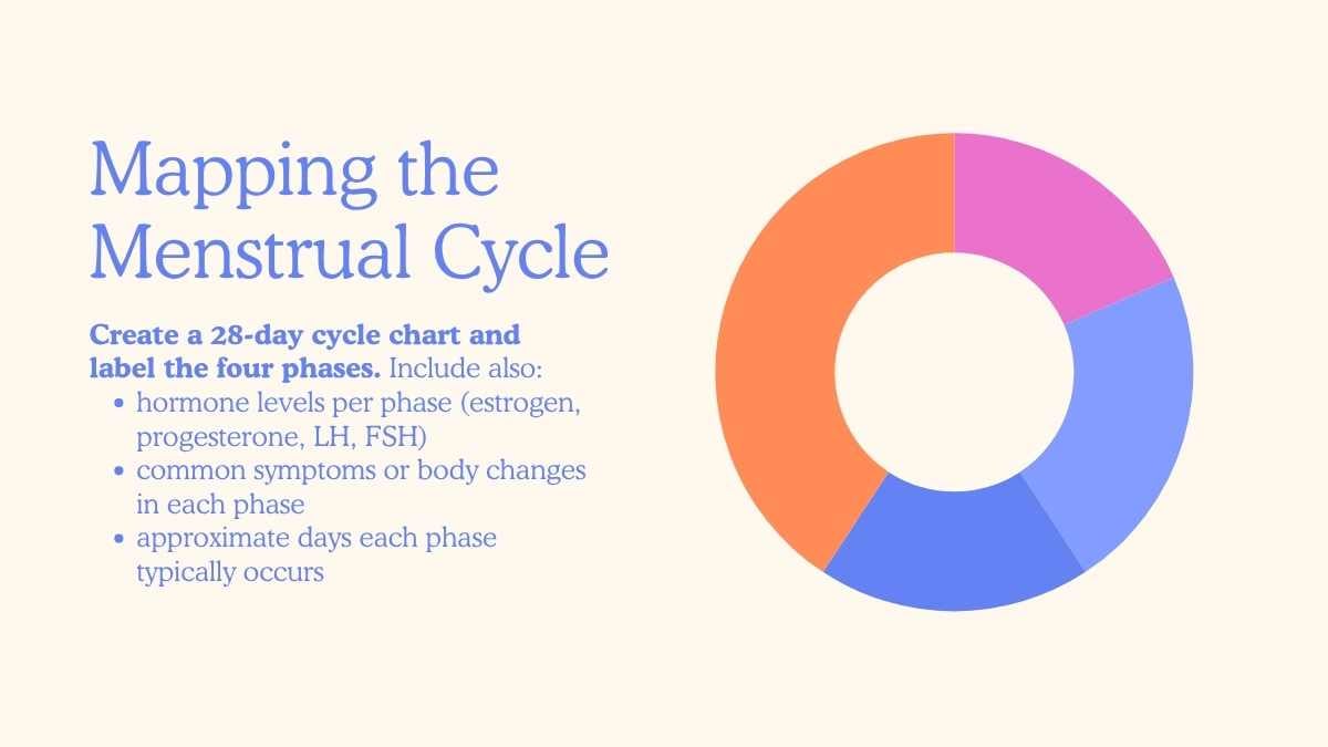 Illustrated Menstrual Cycle Slides For Grade 10 - slide 13