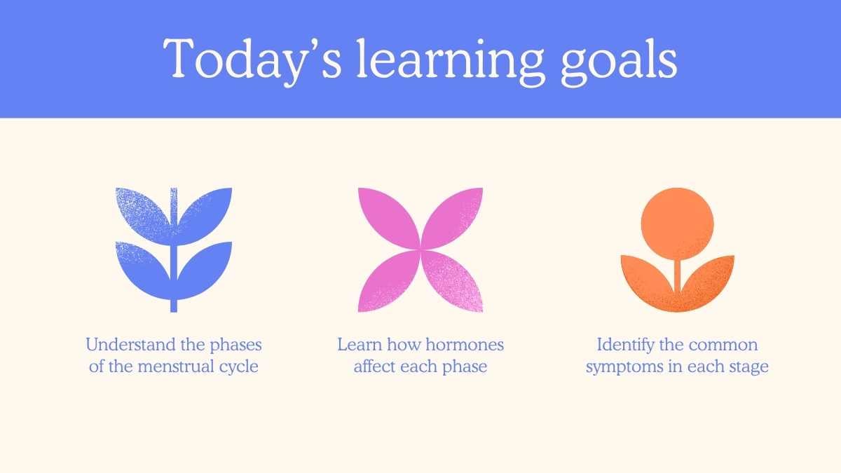Illustrated Menstrual Cycle Slides For Grade 10 - slide 2