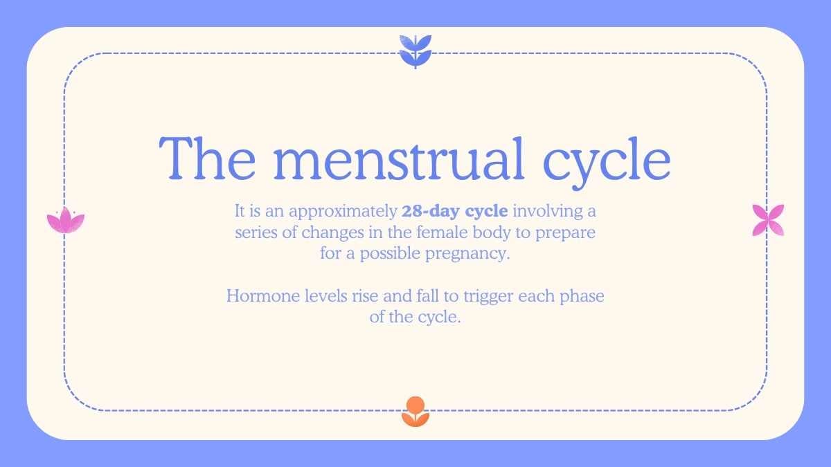 Illustrated Menstrual Cycle Slides For Grade 10 - slide 5