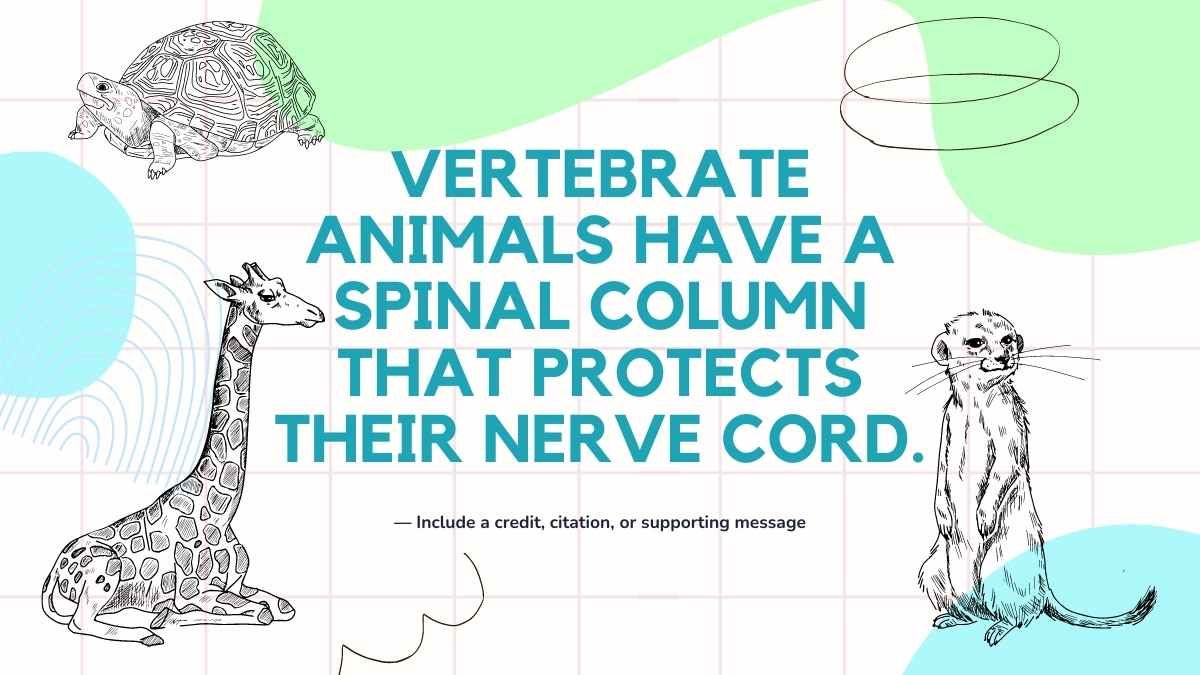 Illustrated Vertebrate And Invertebrate Animals - slide 9