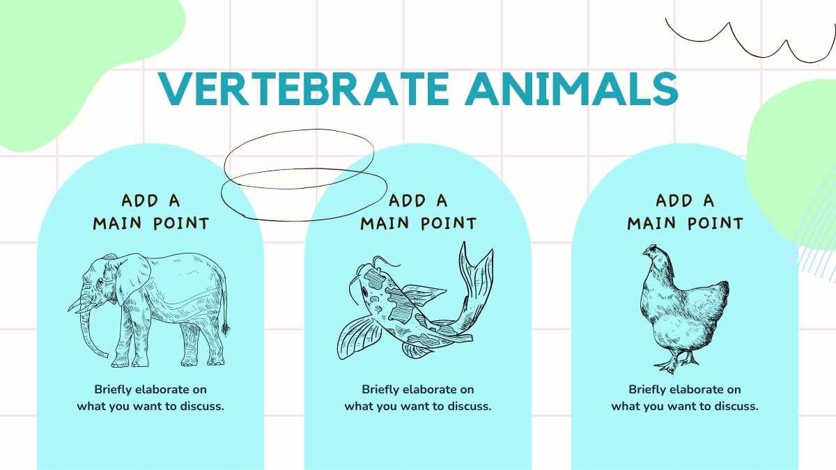 Illustrated Vertebrate And Invertebrate Animals - slide 8