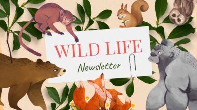 Illustrated World Wildlife Day Slides