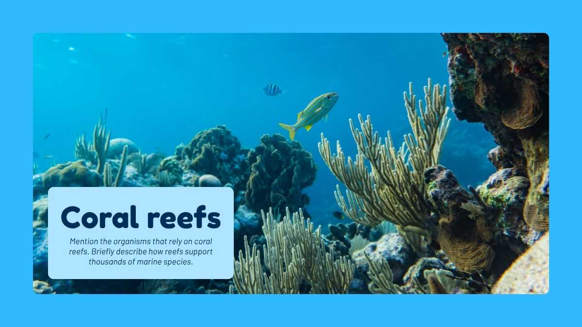 Introduction to Biodiversity Lesson for Middle School - slide 5