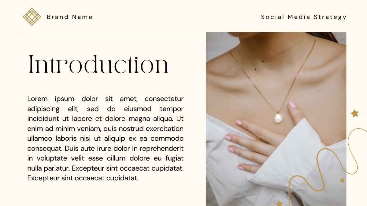 Luxury Jewelry Brand Social Media Strategy - slide 2