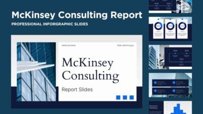 McKinsey Consulting Report