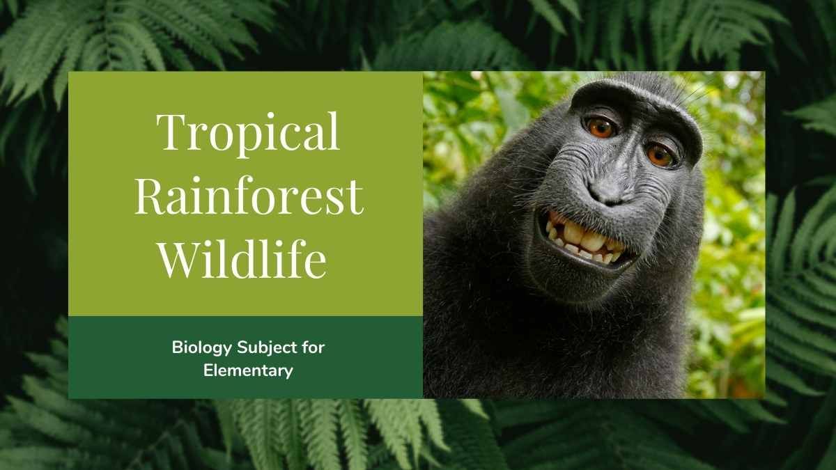Apresentação Minimalista de Biologia sobre Floresta Tropical e a Vida Selvagem - slide 0