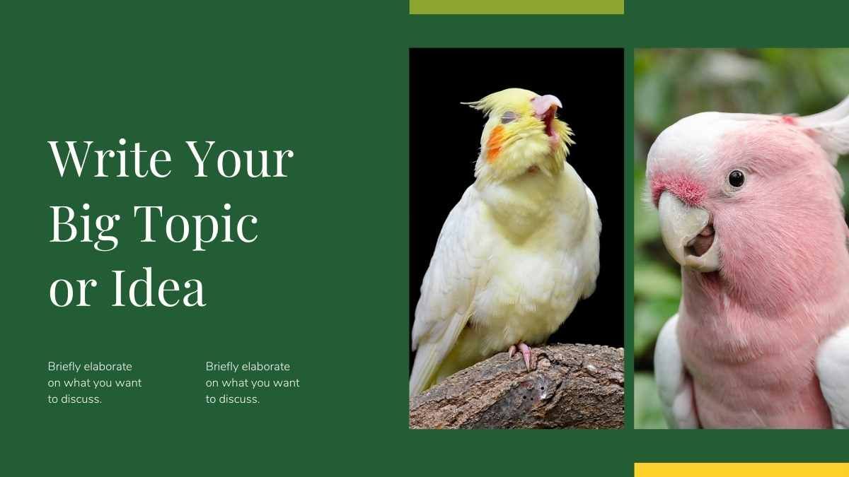 Apresentação Minimalista de Biologia sobre Floresta Tropical e a Vida Selvagem - slide 14