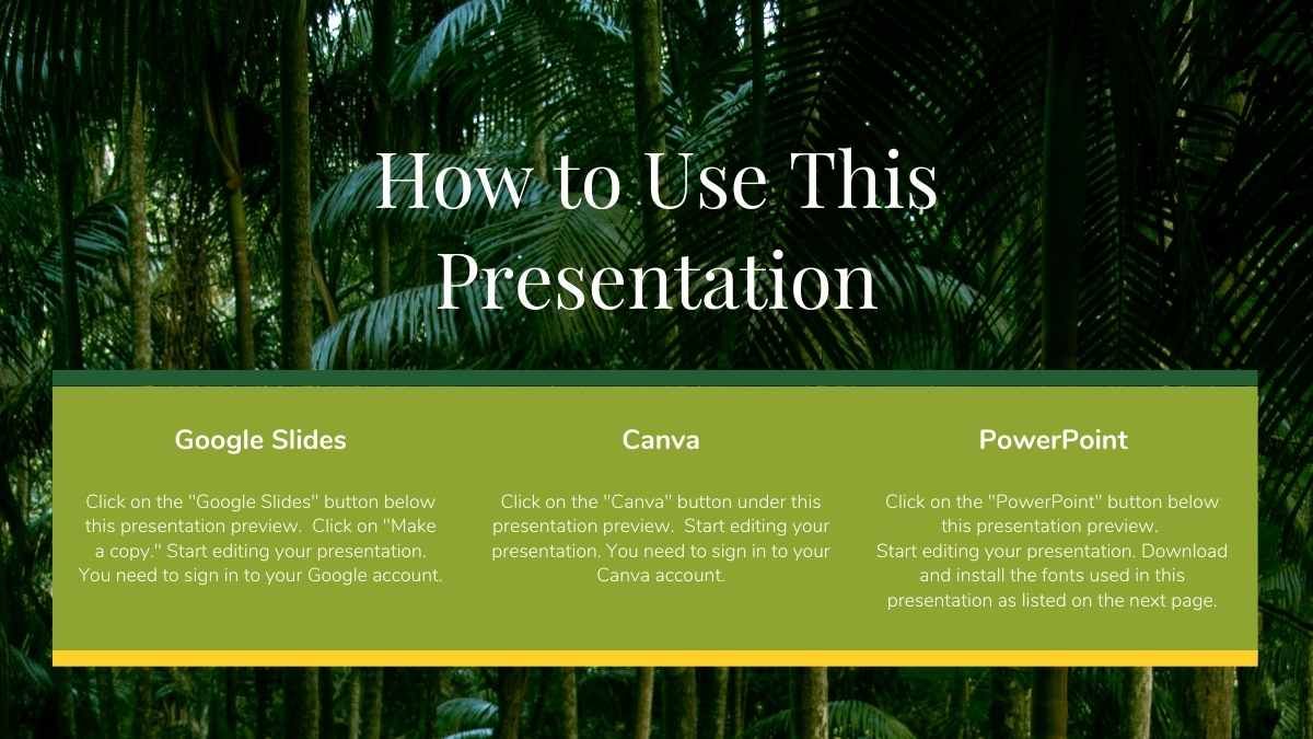Apresentação Minimalista de Biologia sobre Floresta Tropical e a Vida Selvagem - slide 1