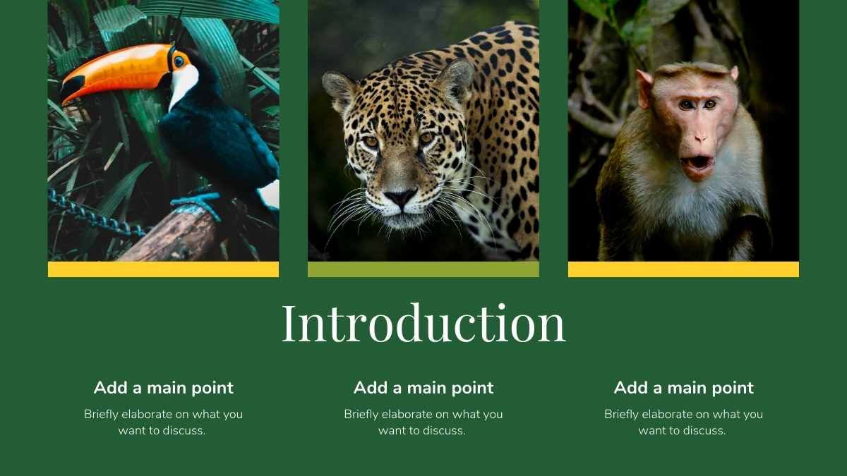 Apresentação Minimalista de Biologia sobre Floresta Tropical e a Vida Selvagem - slide 4