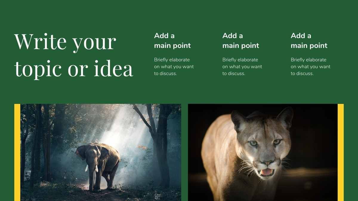 최소한의 생물학 우림 야생동물 - slide 8