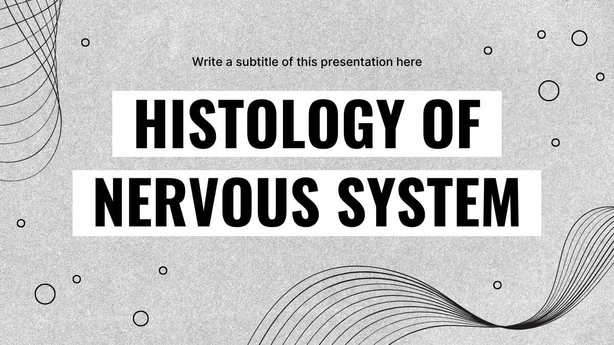 Minimal Histology of Nervous System Slides - slide 2
