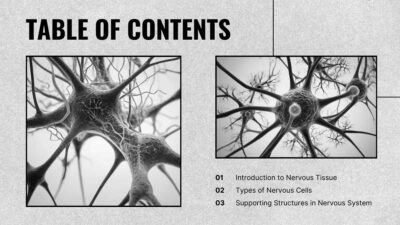 Histology of Nervous System. Free PPT & Google Slides Template ...