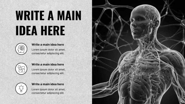 Histology of Nervous System. Free PPT & Google Slides Template ...