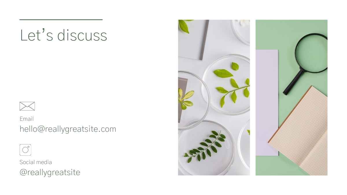 Minimal Scientific Conference Slides - slide 13