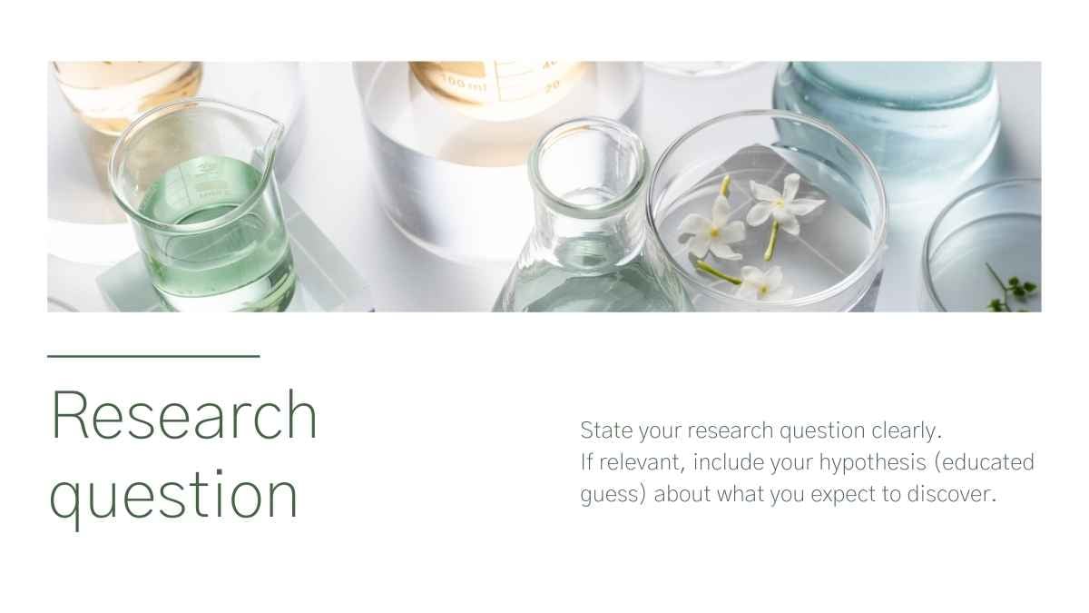 Minimal Scientific Conference Slides - slide 4