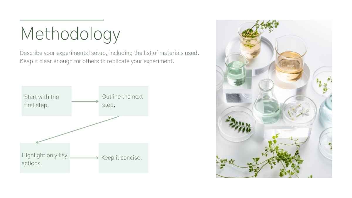 Minimal Scientific Conference Slides - slide 7
