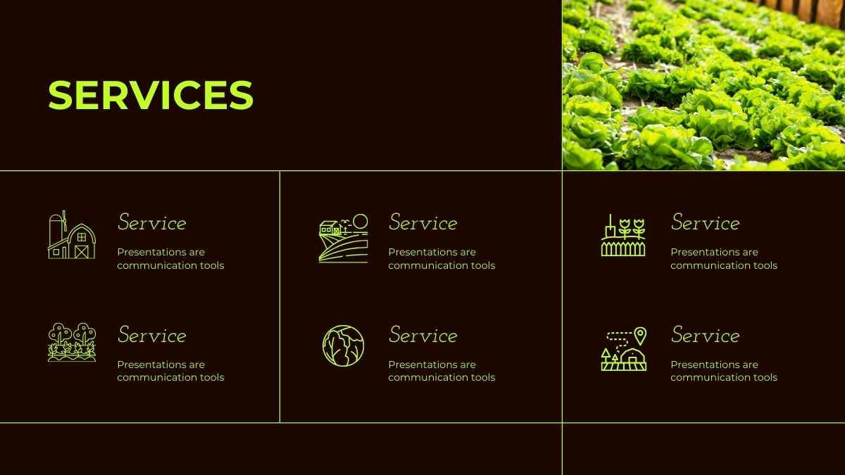 미니멀한 농업 식품 산업 회사 프로필 - slide 12