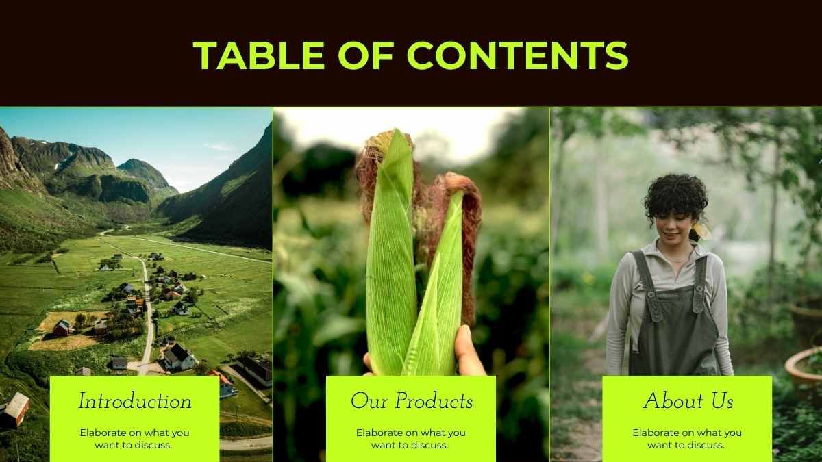 미니멀한 농업 식품 산업 회사 프로필 - slide 2