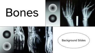 Modern Bone Background Slides 1